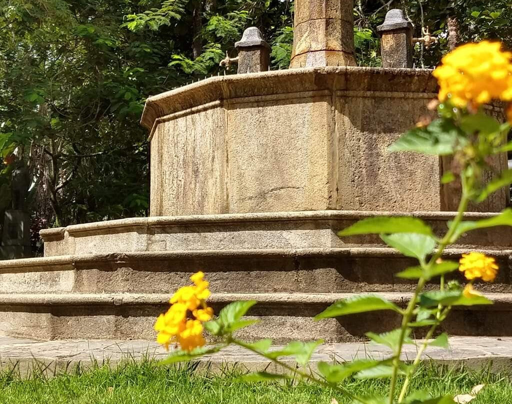 Praça XV de Novembro景点图片