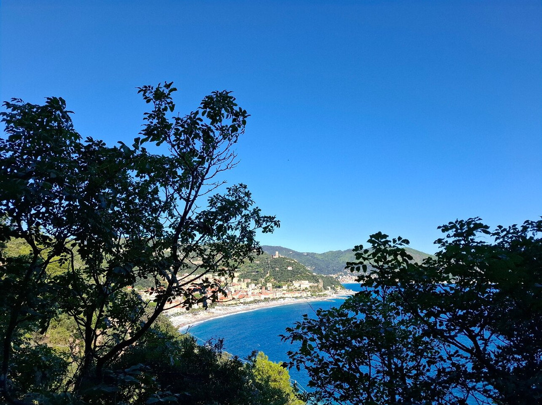 Grotta dei Falsari景点图片