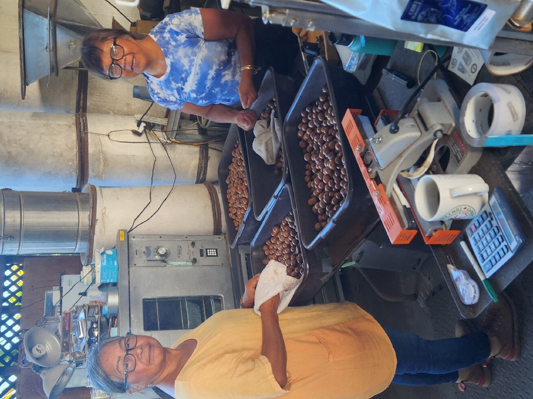 Captain Cook Trading Co.-基亚拉凯库亚必去景点