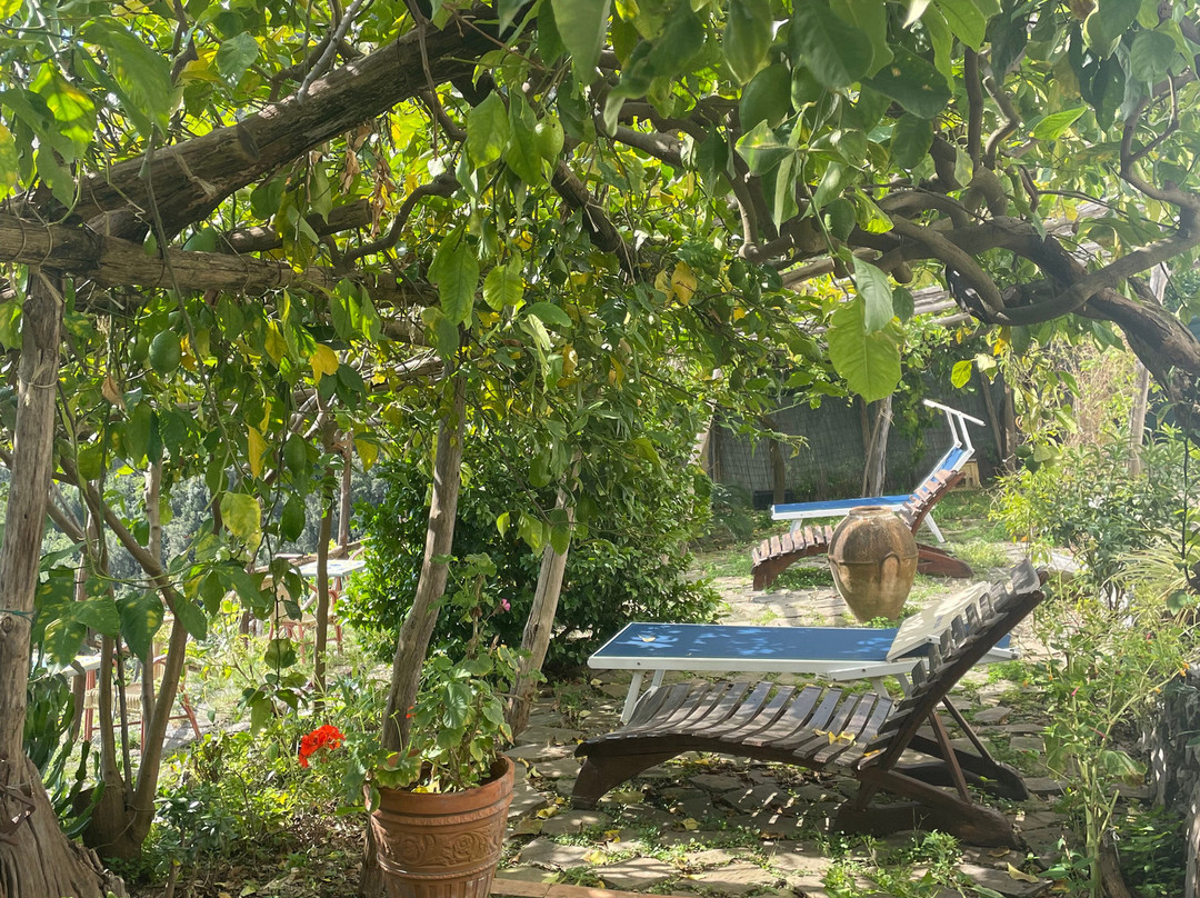 Ercole di Amalfi Bed & Breakfast主图