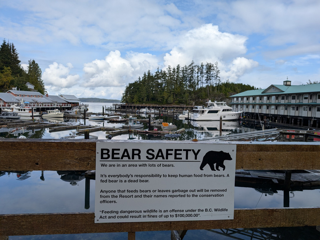 Telegraph Cove Marina & RV Park景点图片