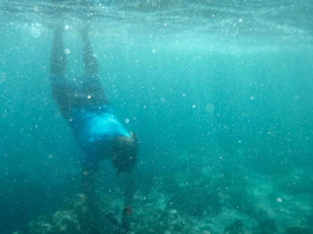Ocean Thrills-威可洛亚必去景点