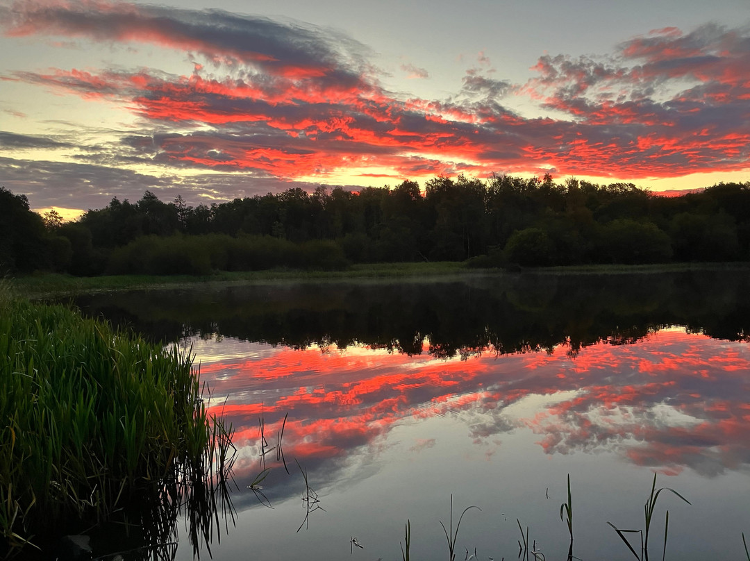 Lochore Meadows Country Park-Lochgelly必去景点