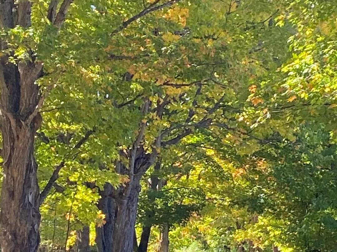 Sentier du cabouron-Saint-Germain必去景点