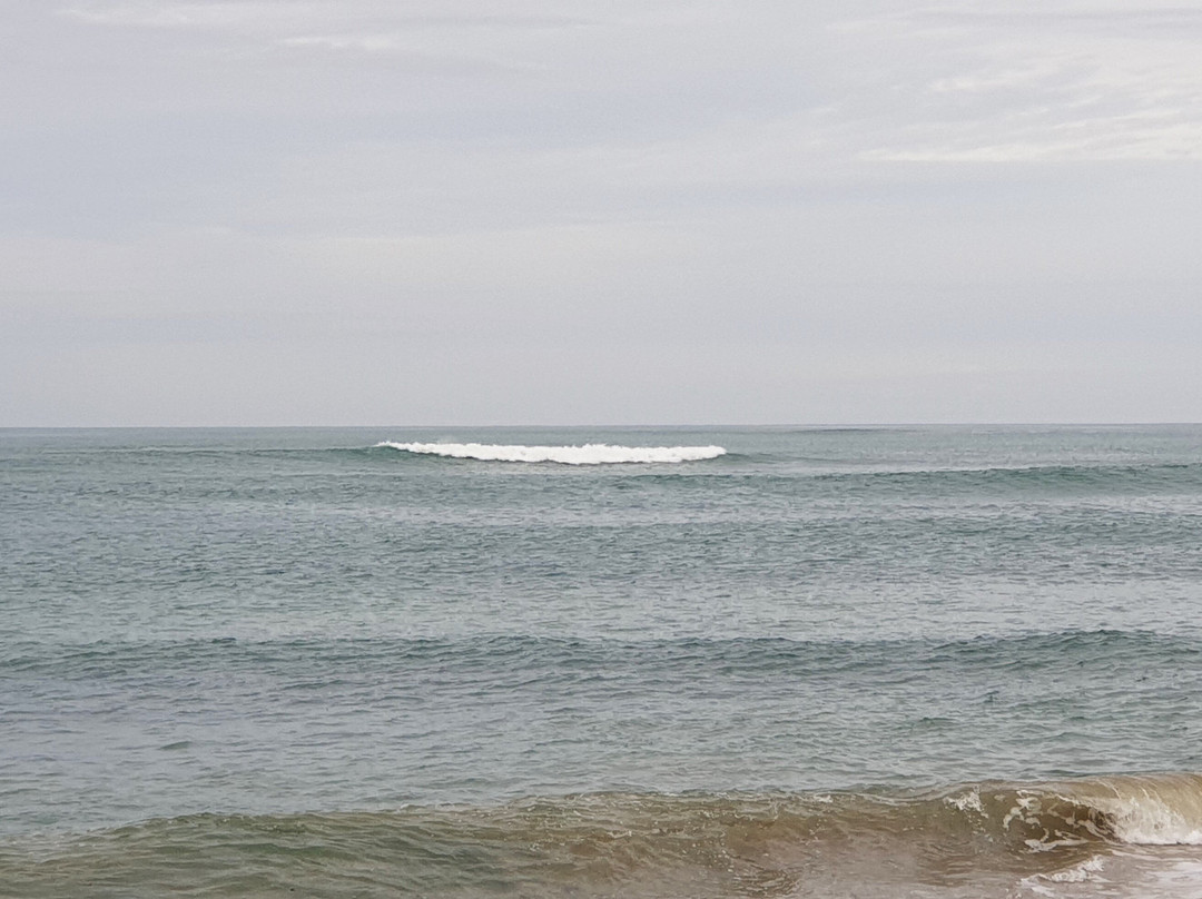 Basham Beach Conservation Park