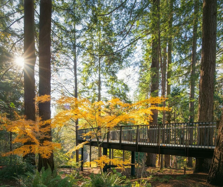 Leach Botanical Garden-波特兰必去景点