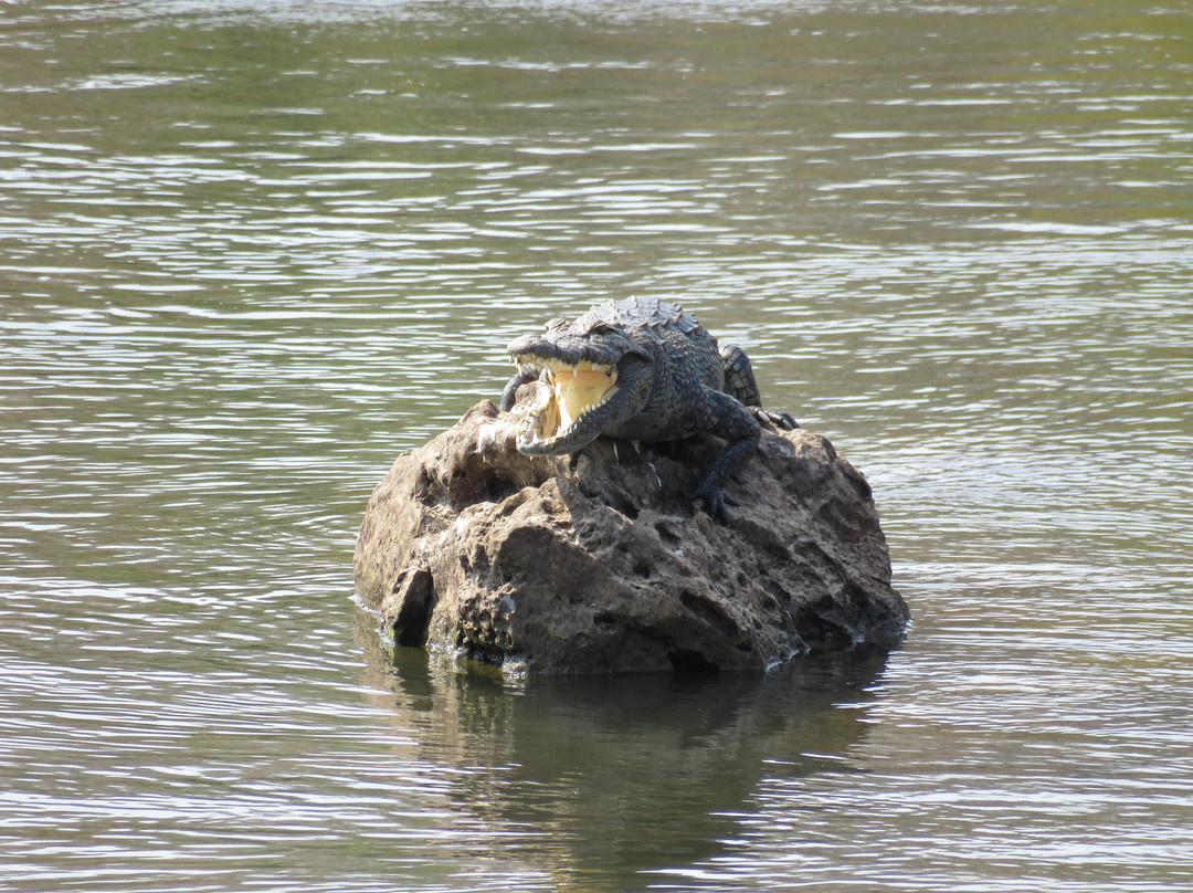 Popa Falls-Divundu必去景点