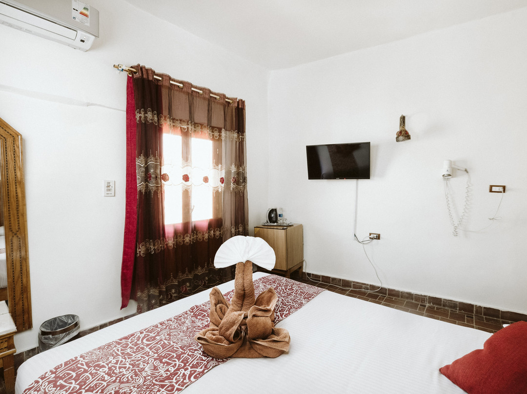 娜芙蒂蒂酒店主图