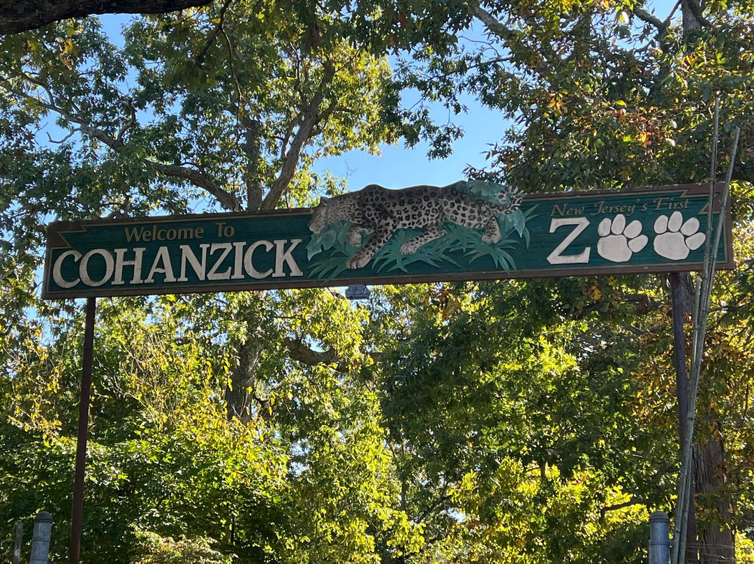 Cohanzick Zoo景点图片