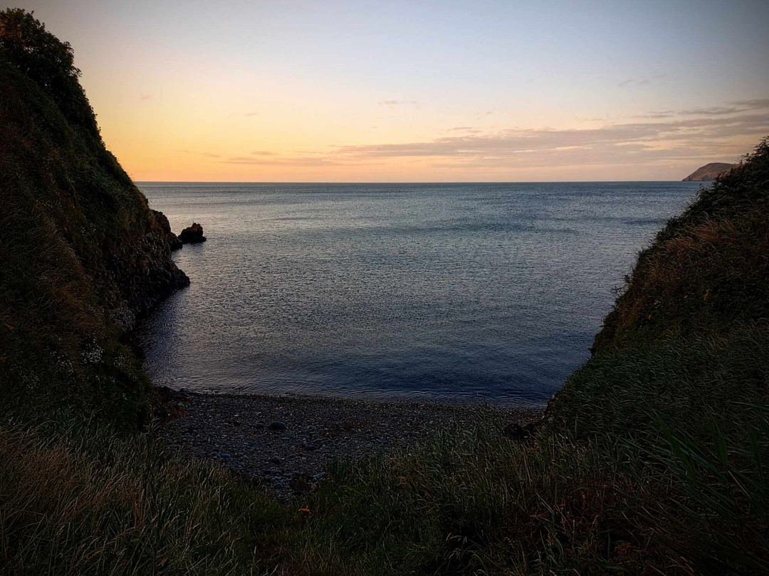 Morfa Beach, Fishguard景点图片