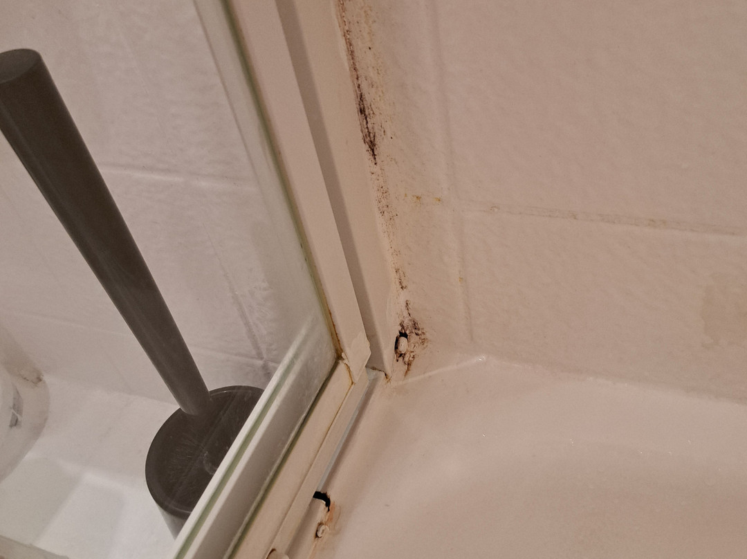 Hotel Zur Burg Sternberg GmbH & Co. KG主图