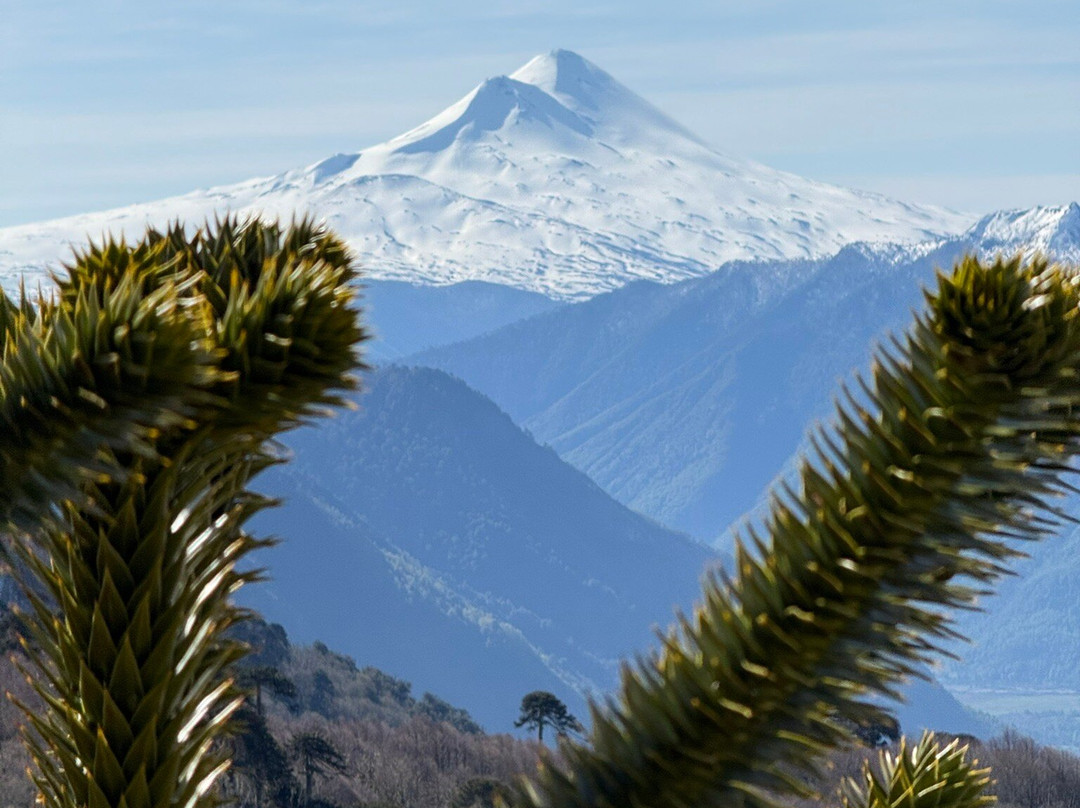 Ñuke Mawida-Melipeuco必去景点