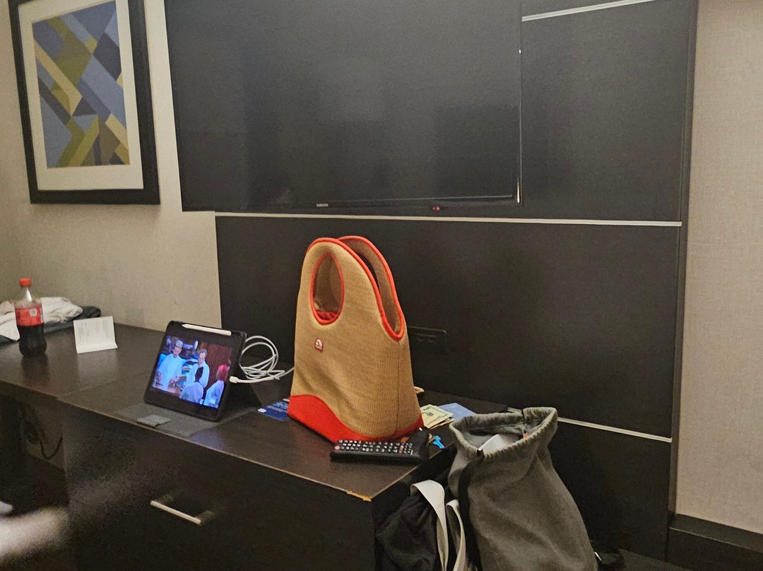 Holiday Inn Express & Suites Albany Airport主图