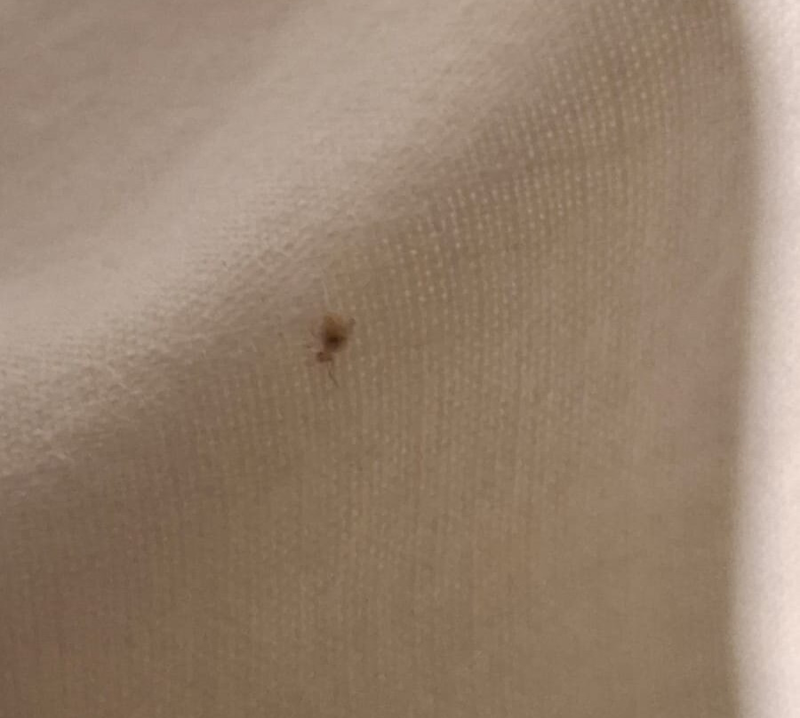 巴厘维拉酒店主图