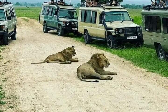 Furahini Safari Adventure