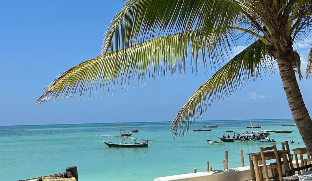Guide Francophone Ahmed Zanzibar