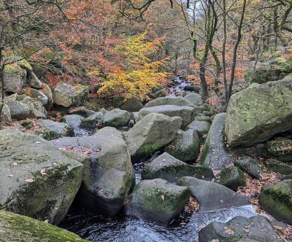 Venture Elements-谢菲尔德必去景点
