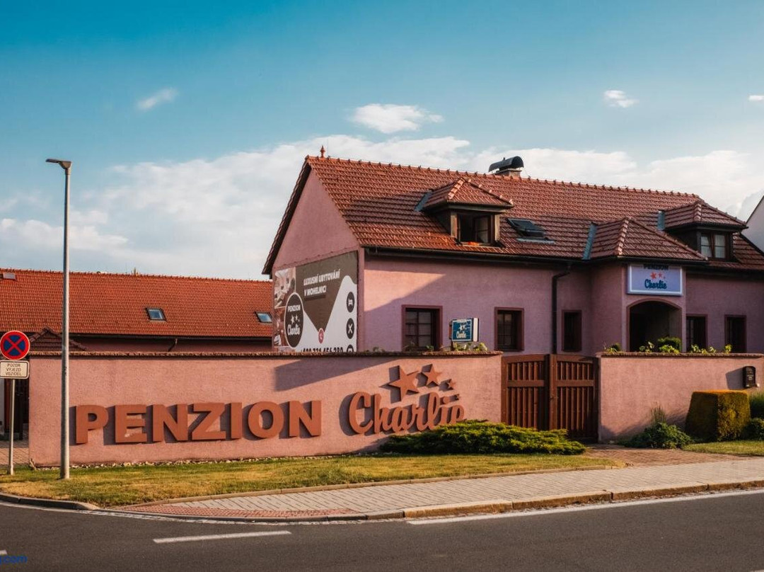 Svojanov酒店住宿-Pension Charlie