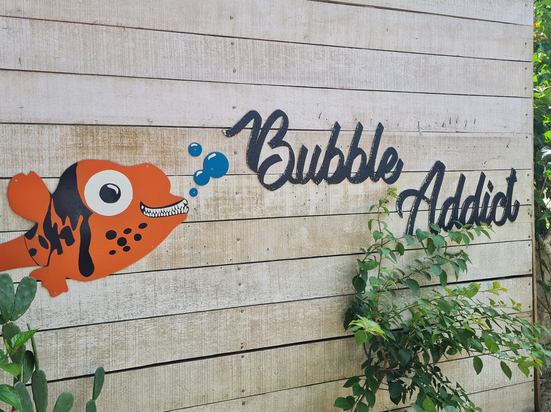 Bubble Addict-韦岛必去景点