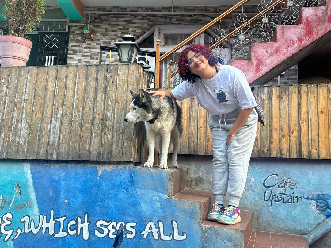 Mazel Tov Hostel & Cafe, Tirthan Valley