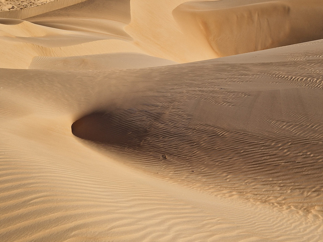 Memo Trotter-Chinguetti必去景点