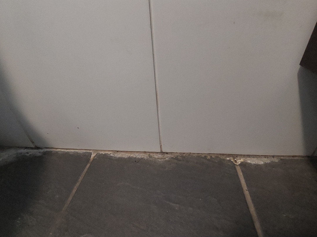 Station Motel Parkes主图