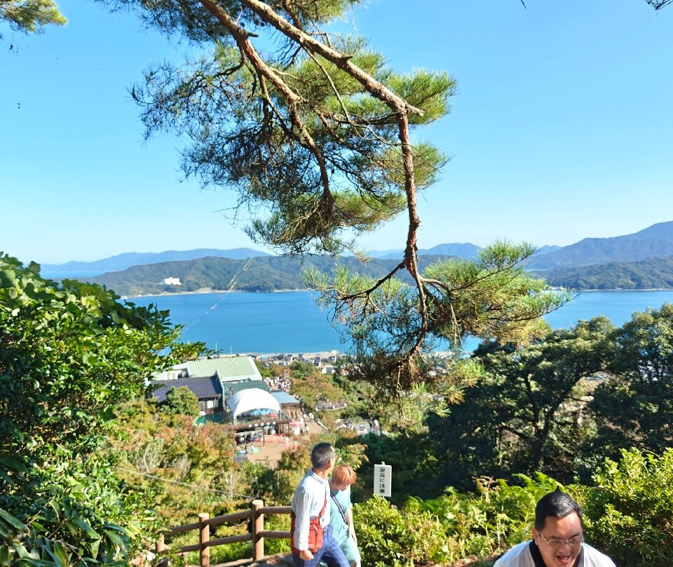 天桥立观景地-宫津市必去景点