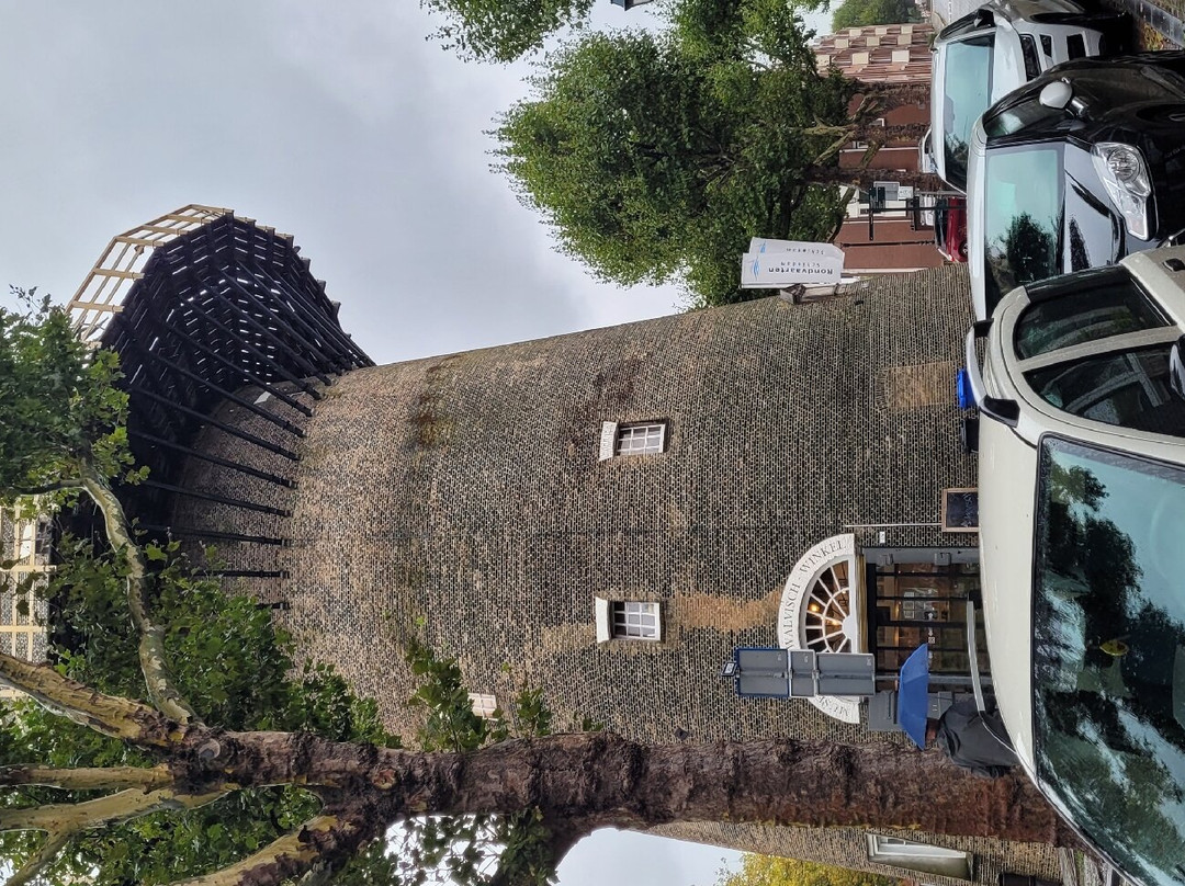 Museummolen de Walvisch景点图片