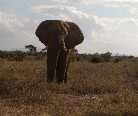 Nice man adventures tours and safaris-蒙巴萨必去景点