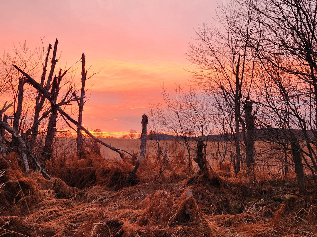 Aux Berges de l'Aurore主图