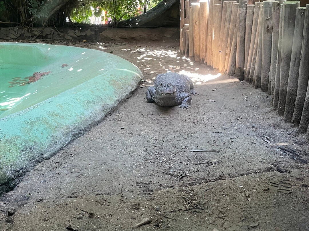 Aquario Marinho-巴拉那瓜必去景点