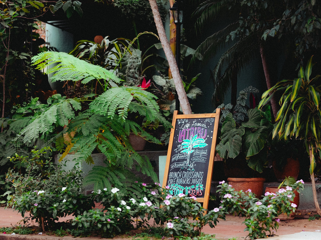 La Tribu - Café Francès