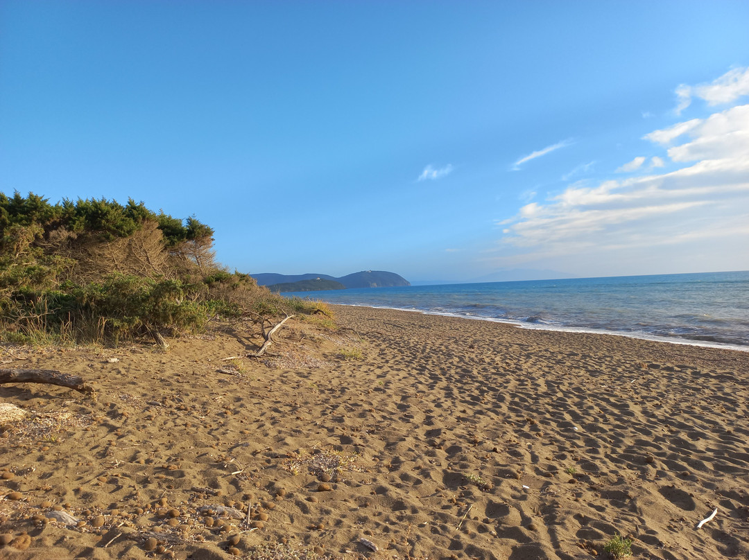 Rimigliano Coastal Park景点图片