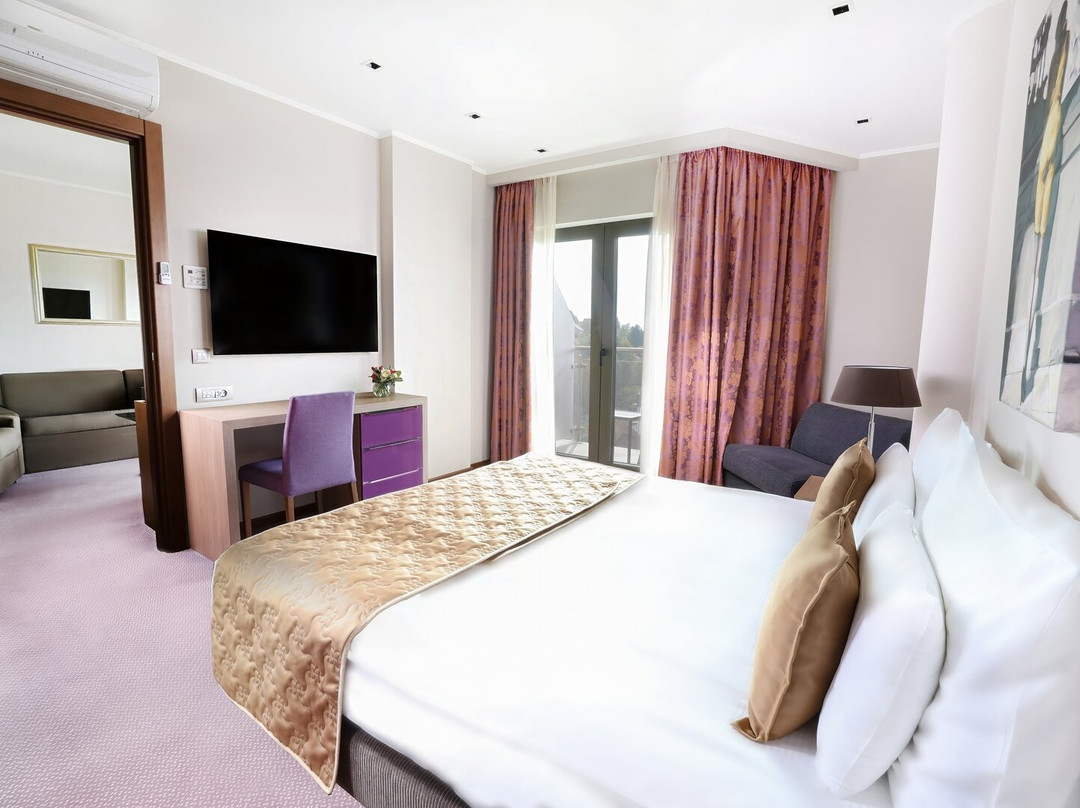 Hotel Premier Aqua主图