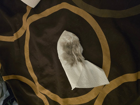 伊丽莎白敦温德姆速8酒店主图