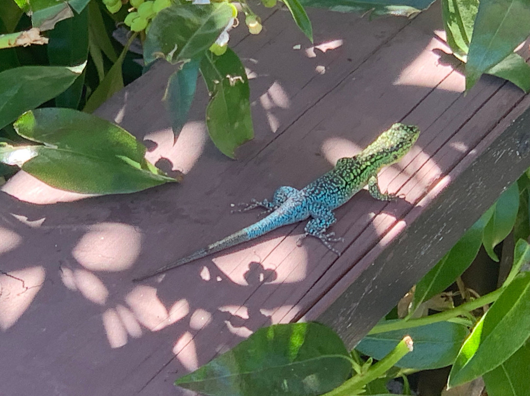 Colchagua D'vino主图