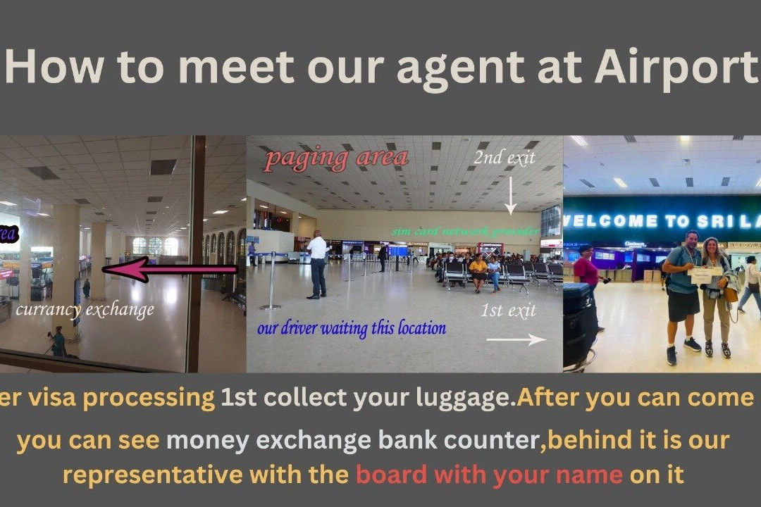 Visit Lanka Travel & Tours景点图片