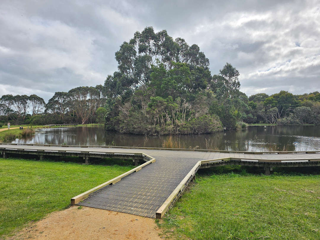 Wonthaggi Wetlands Reserve景点图片
