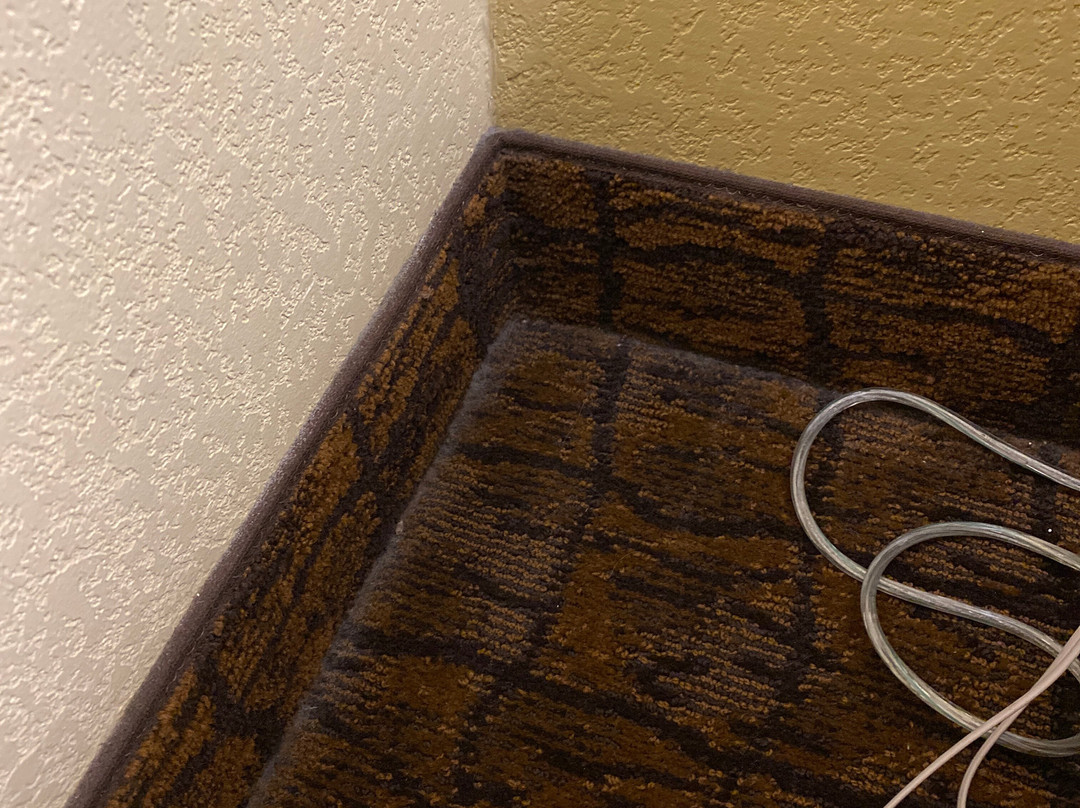 Best Western Escondido Hotel主图