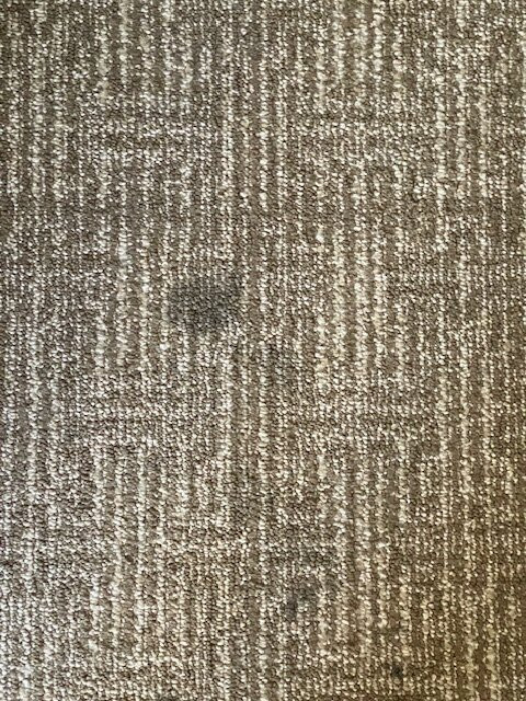 Comfort Inn & Suites Omaha Central主图