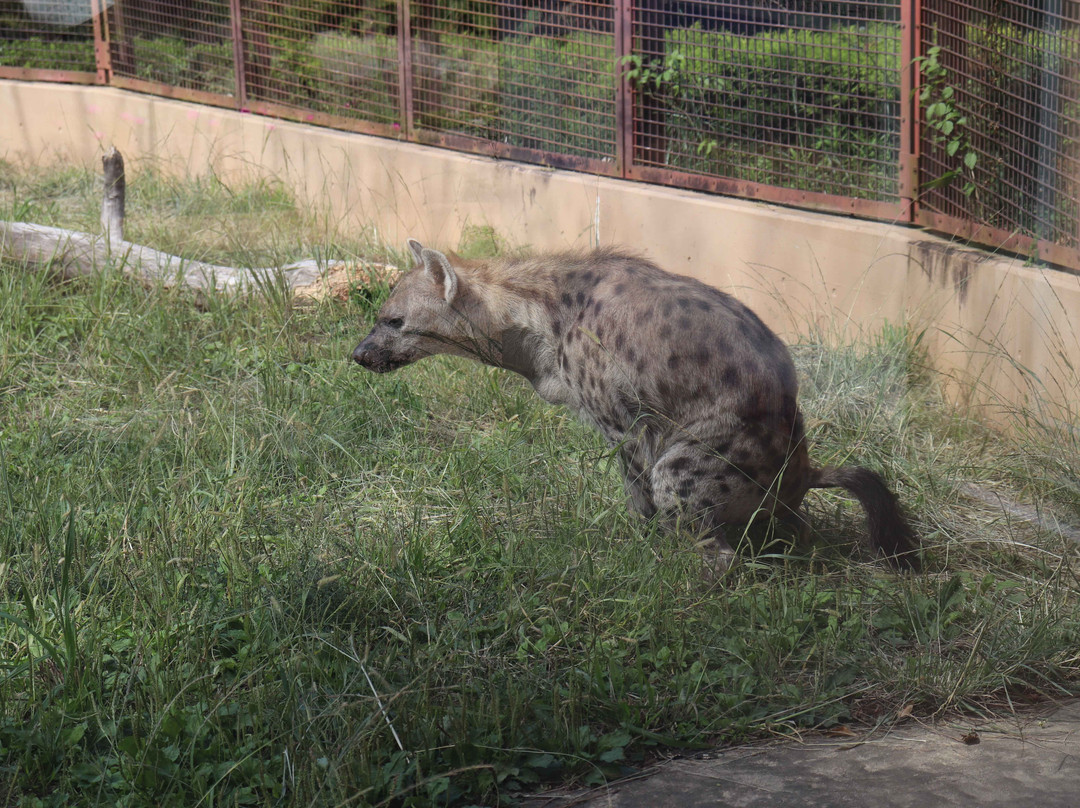 Noichi Zoological Park of Kochi Prefecture-香南市必去景点