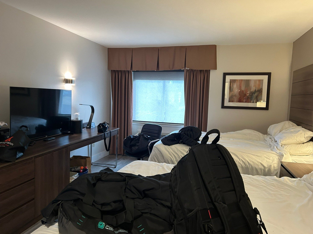 枫树岭贝斯特韦斯特酒店主图