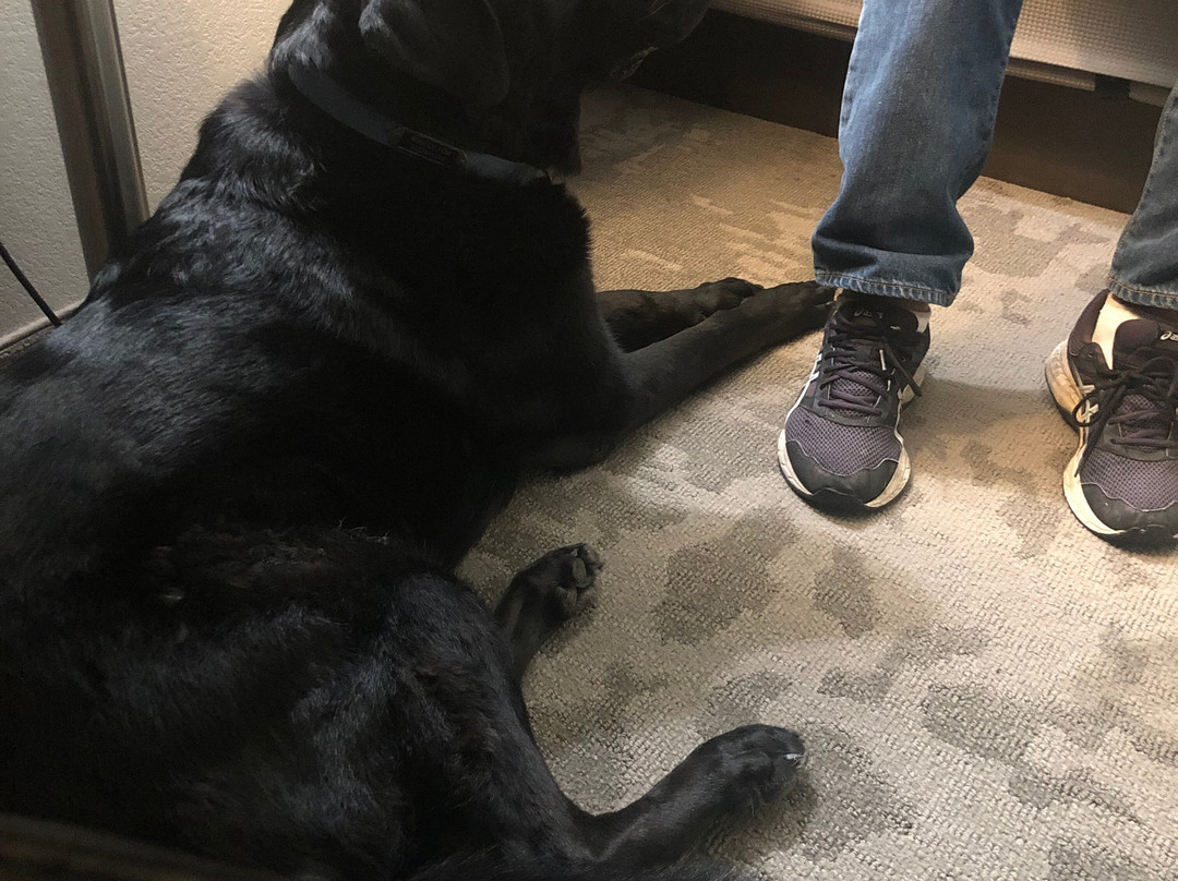 La Quinta Inn & Suites by Wyndham Cleveland TN主图