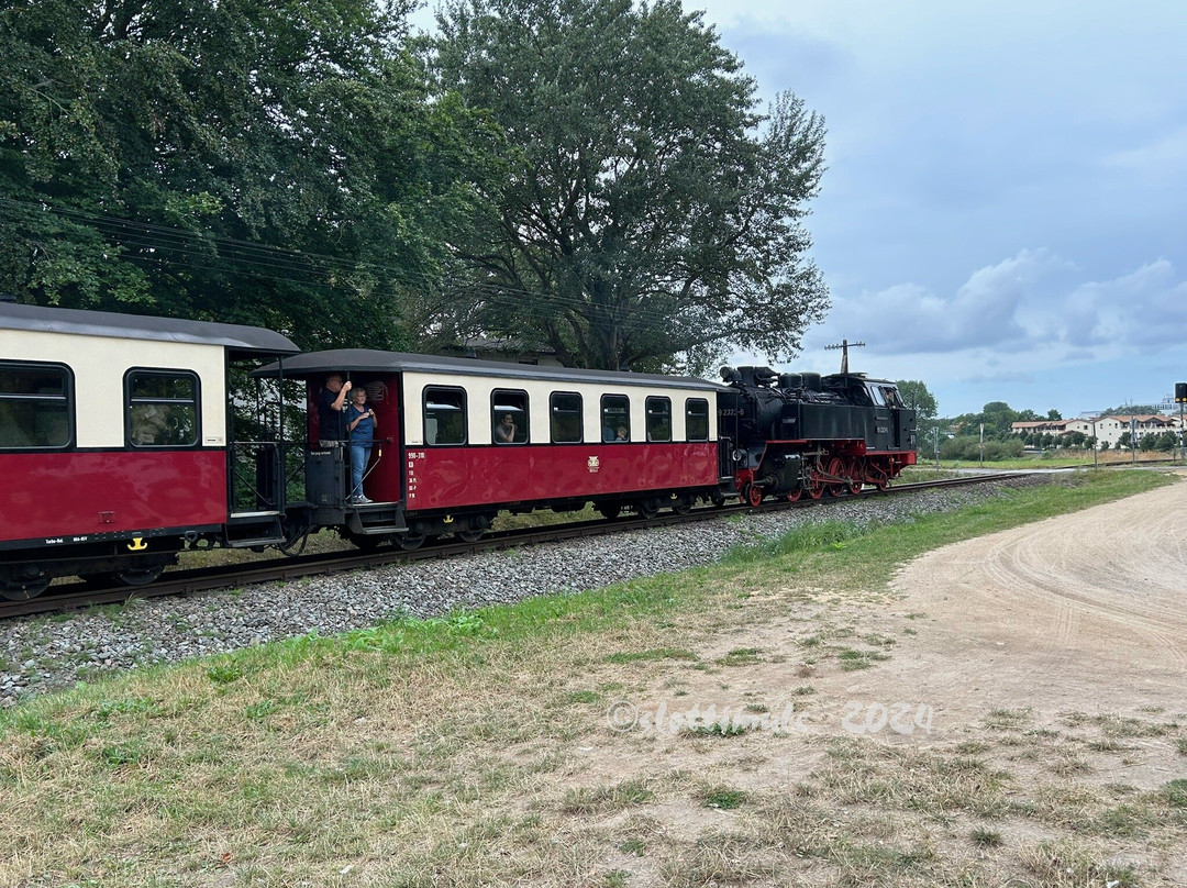 The Mollie Steam Train景点图片