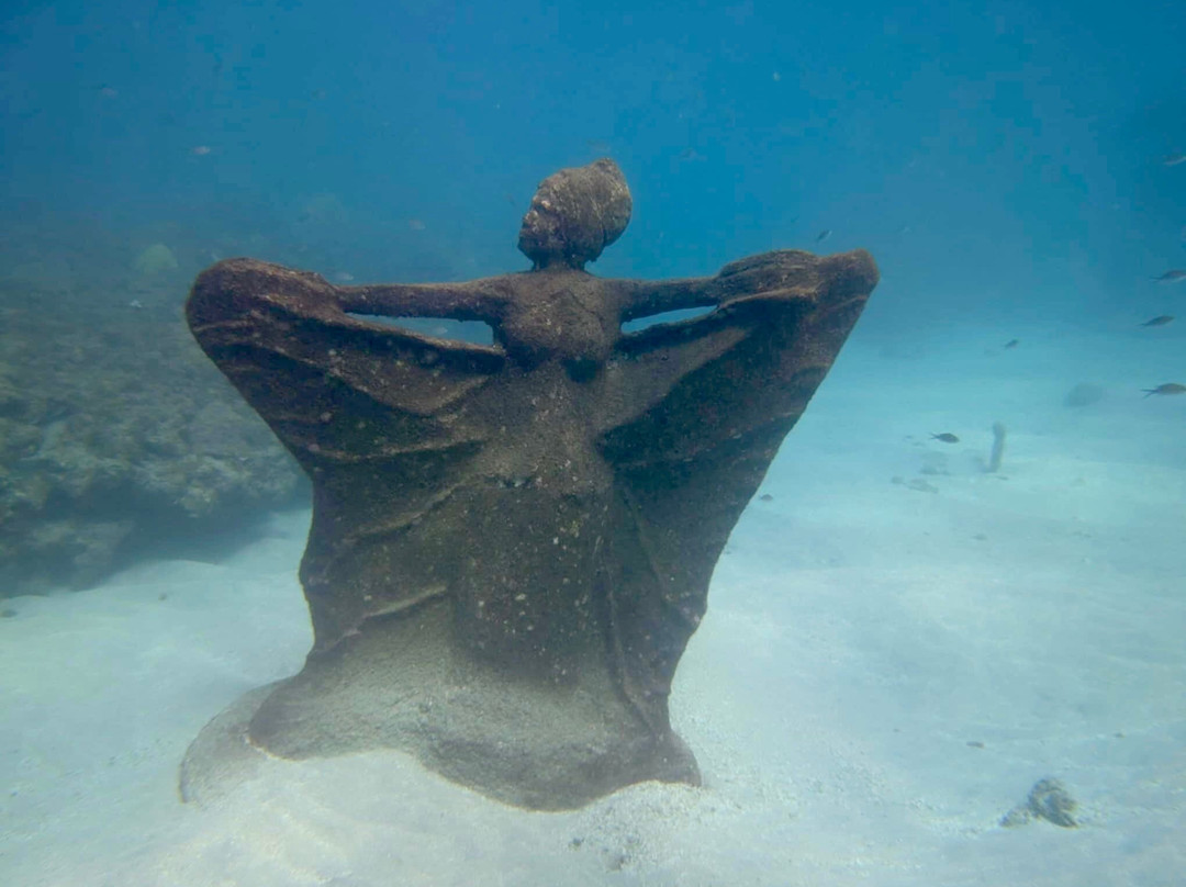 Eco Dive-St. George's必去景点