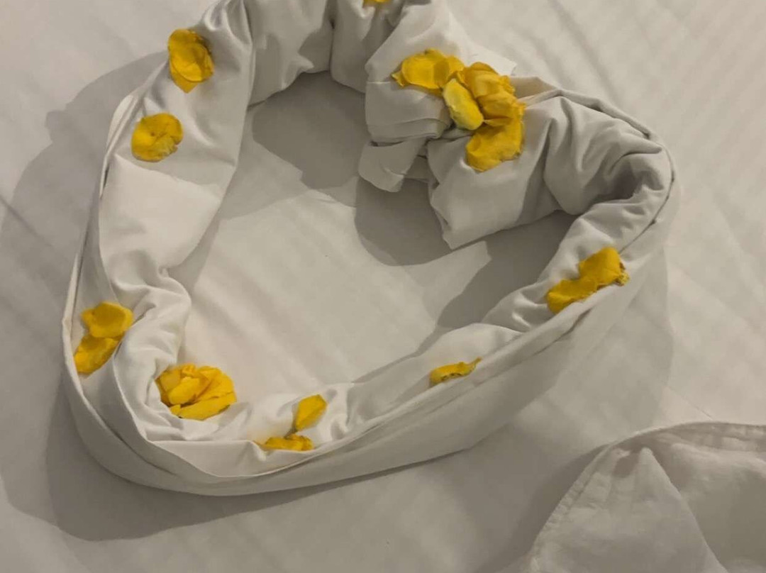 Dar El Andalous主图