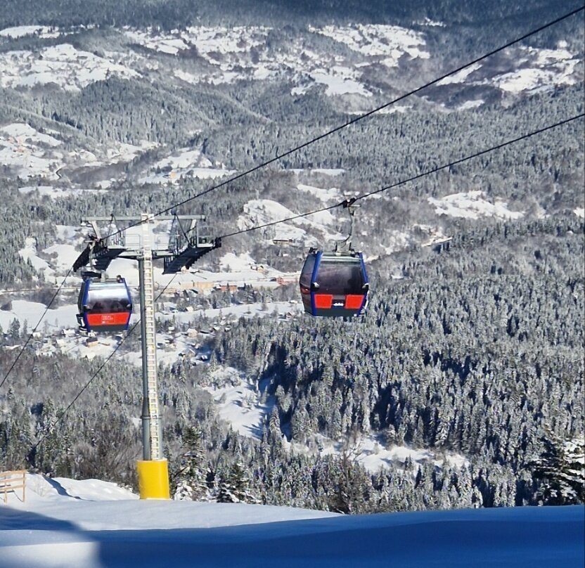 Ski Centar Ravna Planina-Pale必去景点