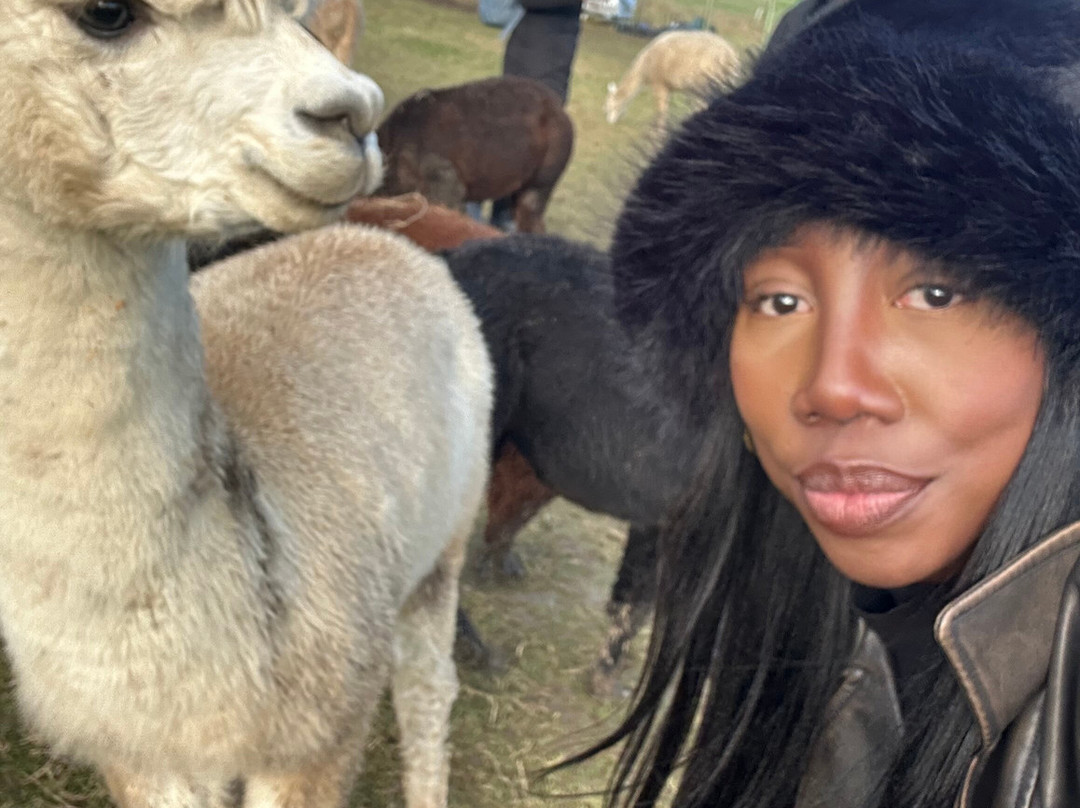 London Alpacas景点图片