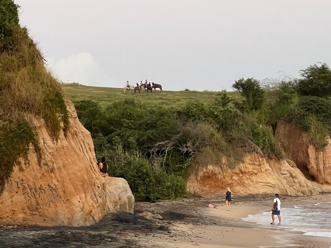 Black Sand Beach-维切克岛必去景点