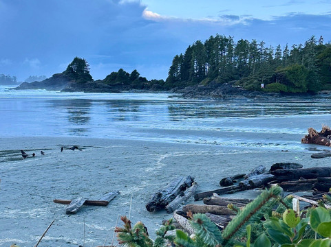 考克斯湾海滩度假酒店主图